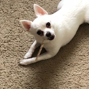 Meet your Posher, Morgan